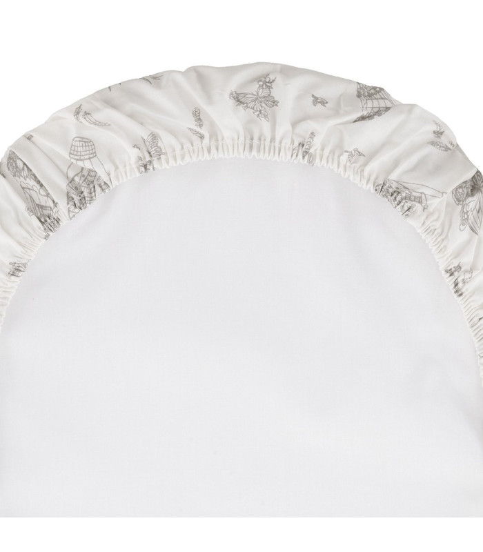 Bajera Moisés / Carro 35x80 Pack 2 Globe
