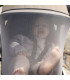 Mosquitera para Silla Stokke YOYO 5 | Nenelandia