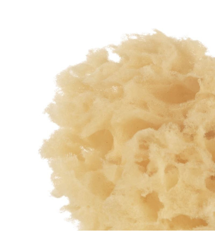 Detalle de la textura de la esponja natural Jané, suave para la piel del bebé