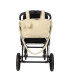 Bolsa Crossody Teddy Paddington