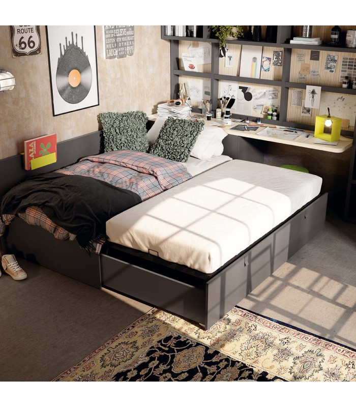 Habitación Juvenil Delulu 10 Ros