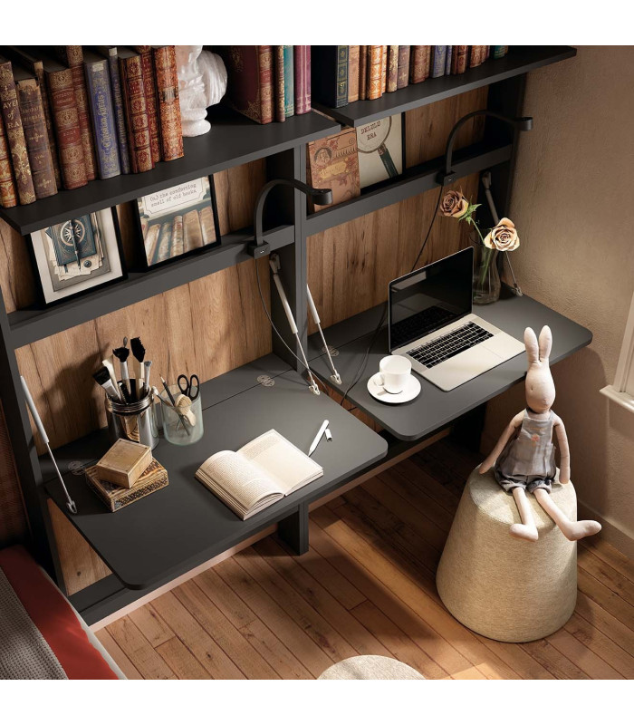 Habitación Litera Juvenil Delulu 53 Ros