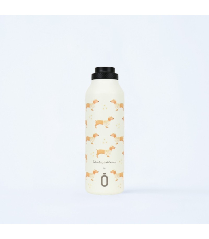 Botella Termo Sport Mii+T.Esta 600 Ml Tortuguita Bca Daisy Teckel