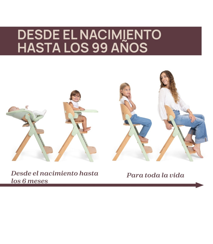 Chicco Meraviglia · Trona Evolutiva Madera