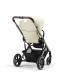 Pack Balios S + Sirona Gi