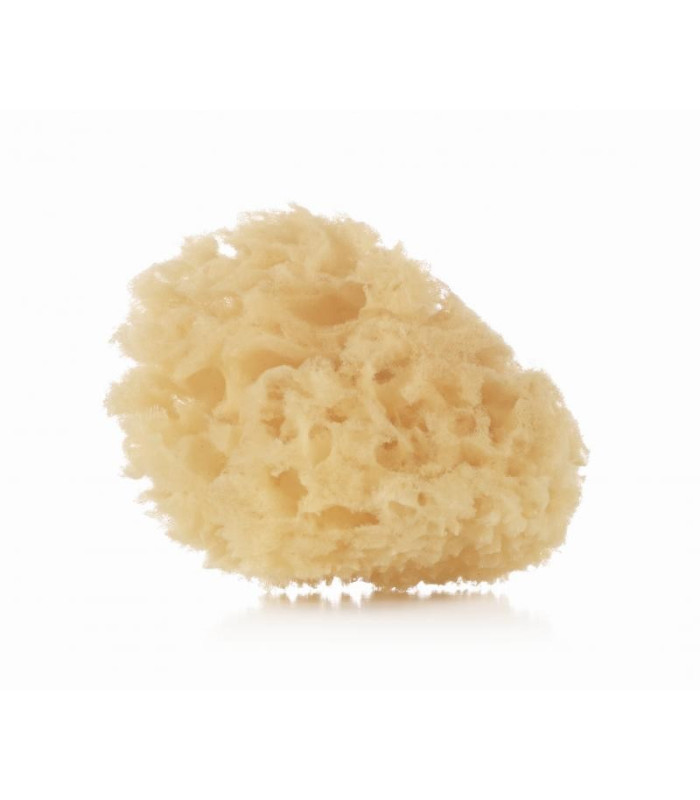 Esponja Natural Jane