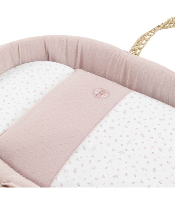 Moisés de Palma Plumeti Rosa · Cambrass