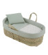 Moisés de Palma Ardi Verde · Cambrass