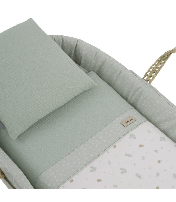 Moisés de Palma con Patas Blancas Ardi Verde · Cambrass