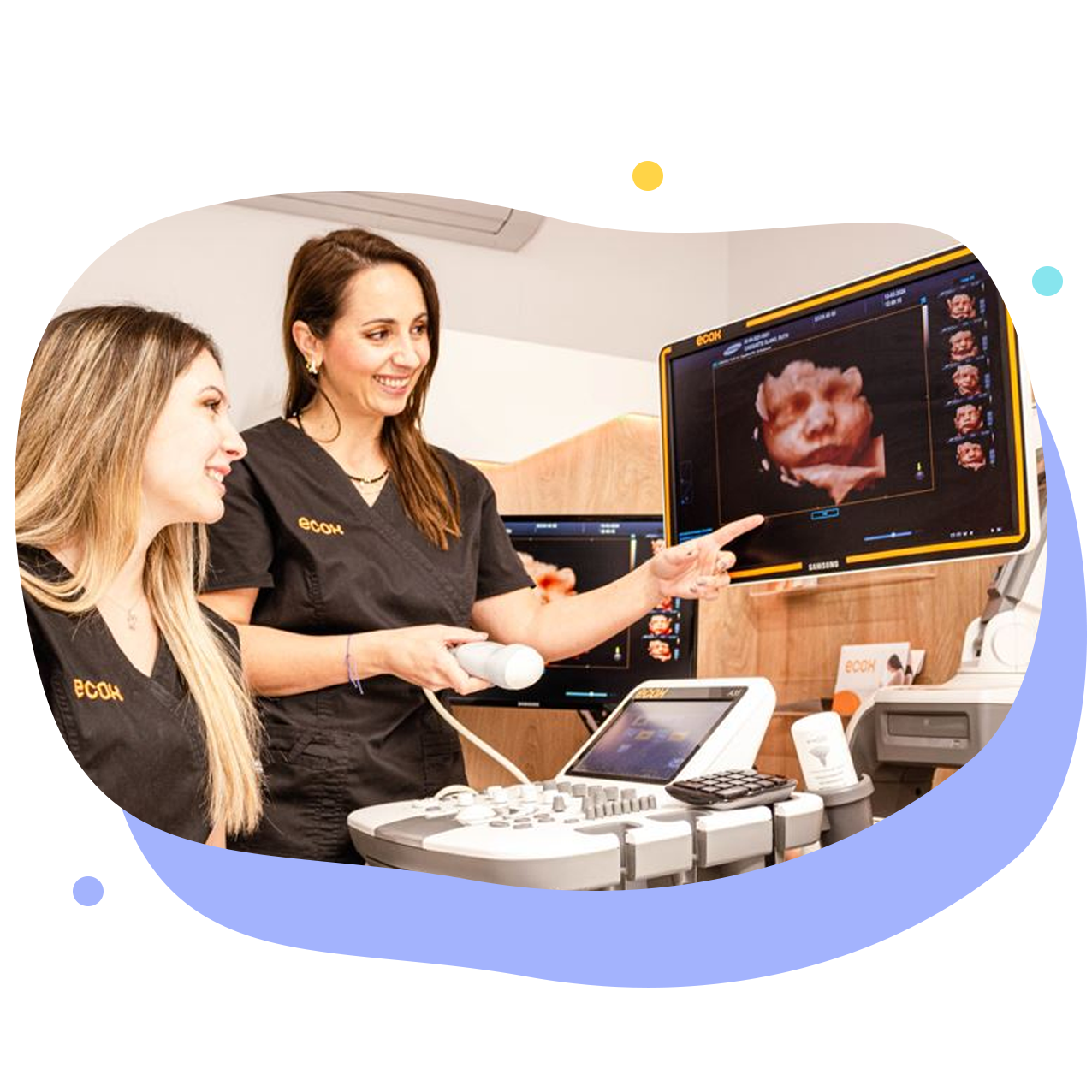 Asesoramiento experto